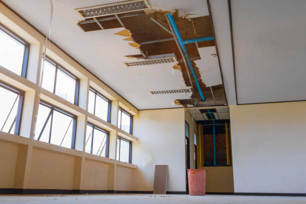 Best 24-hour water damage restoration  in Lake View, AL