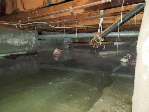 24/7 water damage repair in Lake View, AL