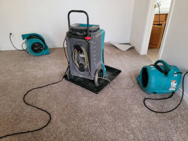 Carpet water damage restoration in Lake View, AL