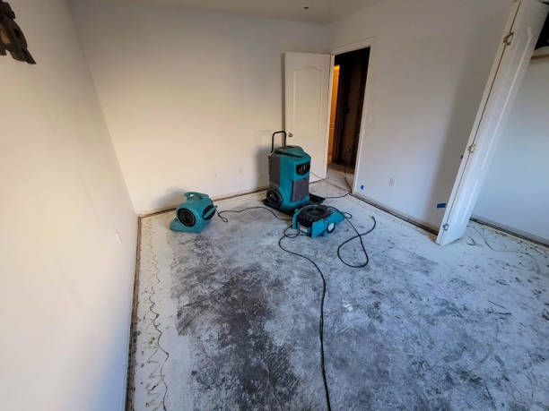 Best Mold removal after water damage  in Lake View, AL