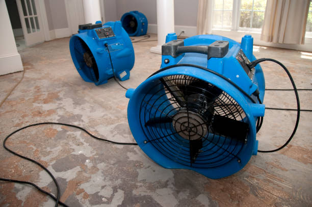 Best Flood damage cleanup  in Lake View, AL