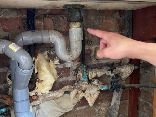 Professional Water damage restoration in Lake View, AL