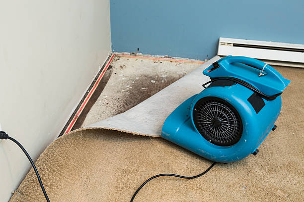  Lake View, AL Water damage restoration Pros